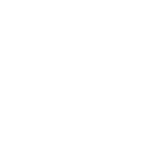 Vegan